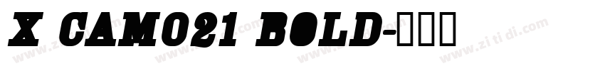 X CAM021 Bold字体转换
